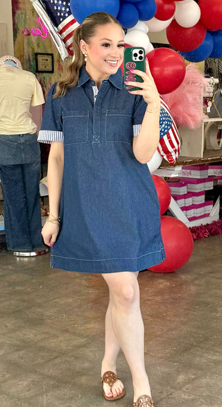 Delaynie Denim Front Button Up Mini Dress