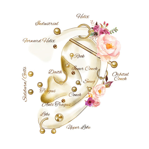 Piercing Appointment