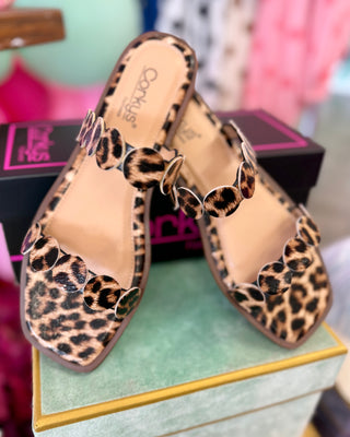Round of Applause Leopard Sandals