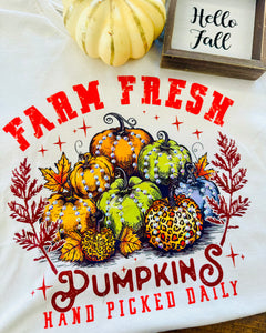 Farm Fresh Pumpkins