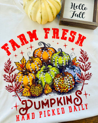 Farm Fresh Pumpkins