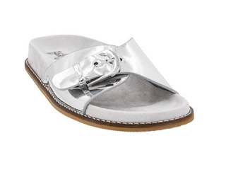 Passport Silver Mirror Metallic Slides by Corkys
