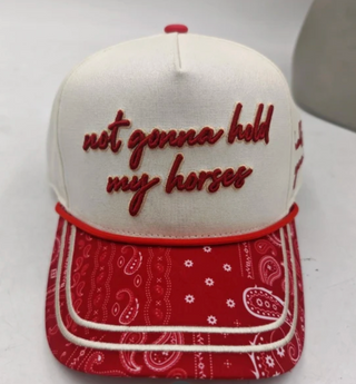 Not Gonna Hold My Horses